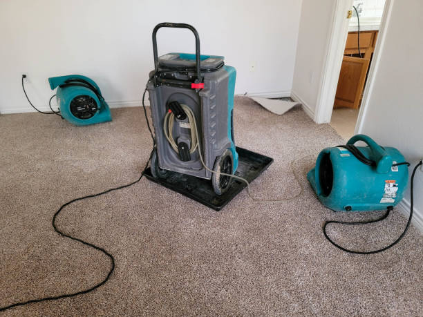 Fire Damage Restoration in Salmon Creek, WA