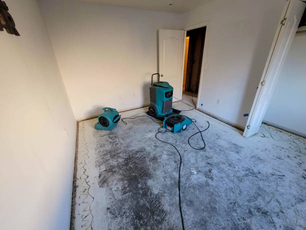 Best Basement water damage restoration  in Salmon Creek, WA