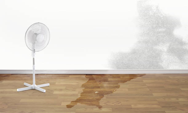 Best Water damage contractors near me  in Salmon Creek, WA