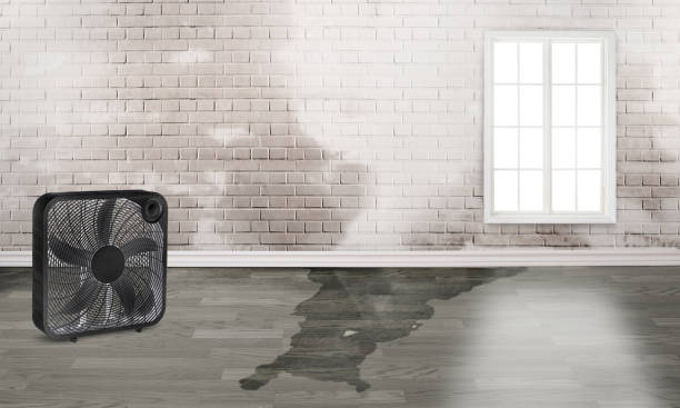 Best Fire Damage Restoration  in Salmon Creek, WA
