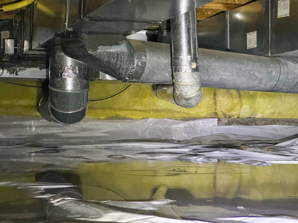 Best Professional water damage repair  in Salmon Creek, WA