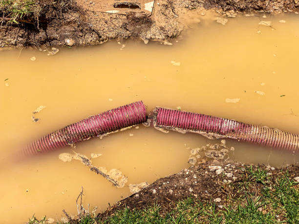 Best 24/7 water damage repair  in Salmon Creek, WA
