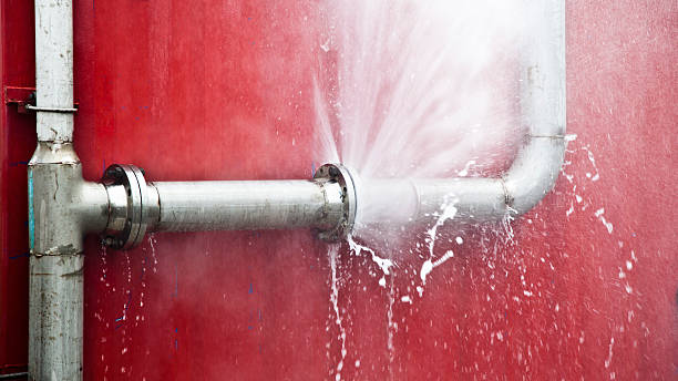 Best Water damage cleanup near me  in Salmon Creek, WA